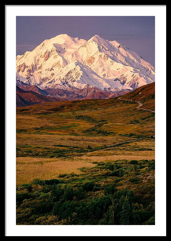 Denali At Golden Hour