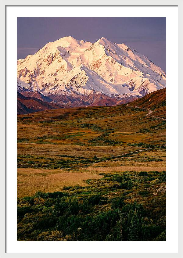 Denali At Golden Hour