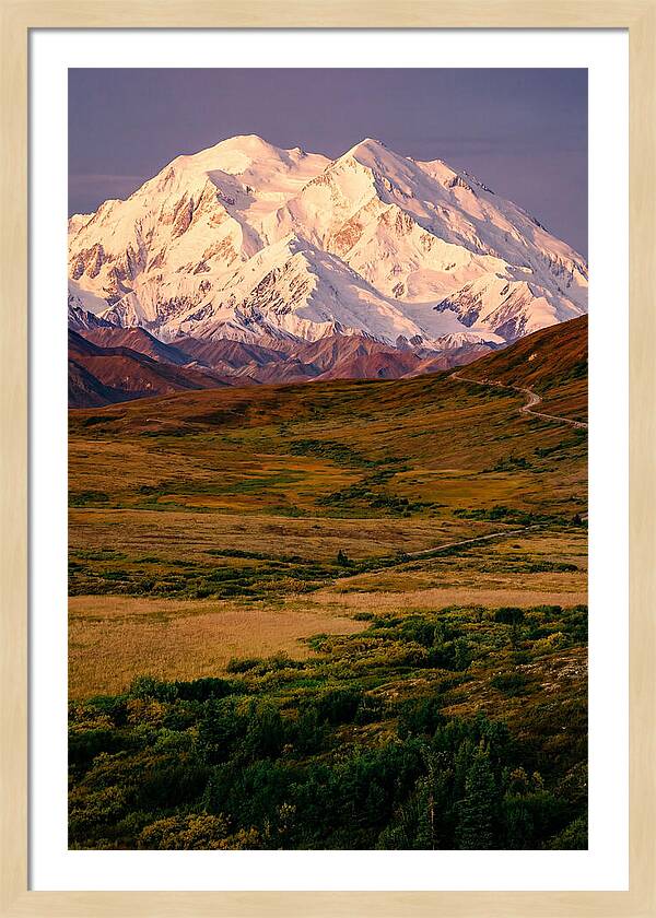 Denali At Golden Hour