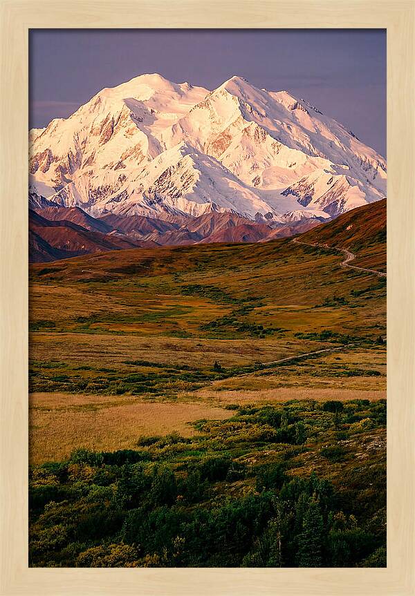 Denali At Golden Hour