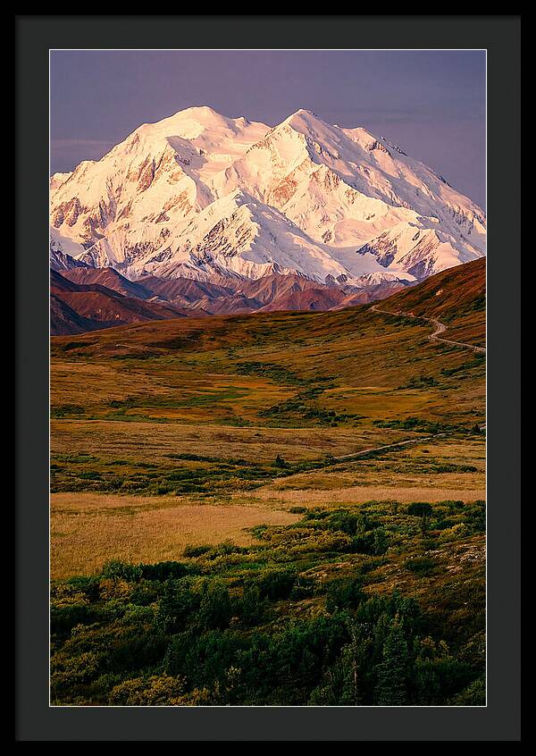 Denali At Golden Hour