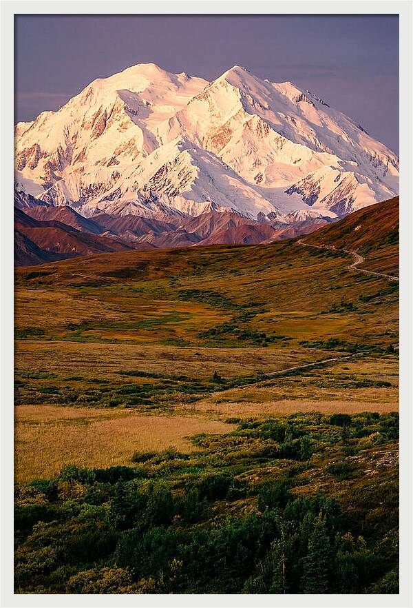 Denali At Golden Hour