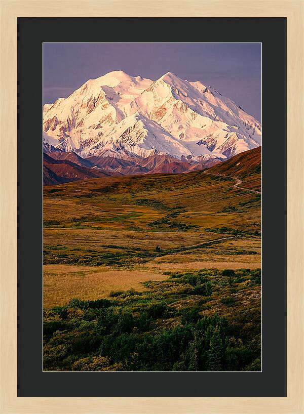 Denali At Golden Hour