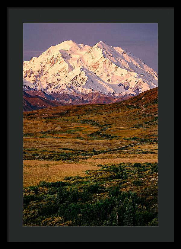 Denali At Golden Hour