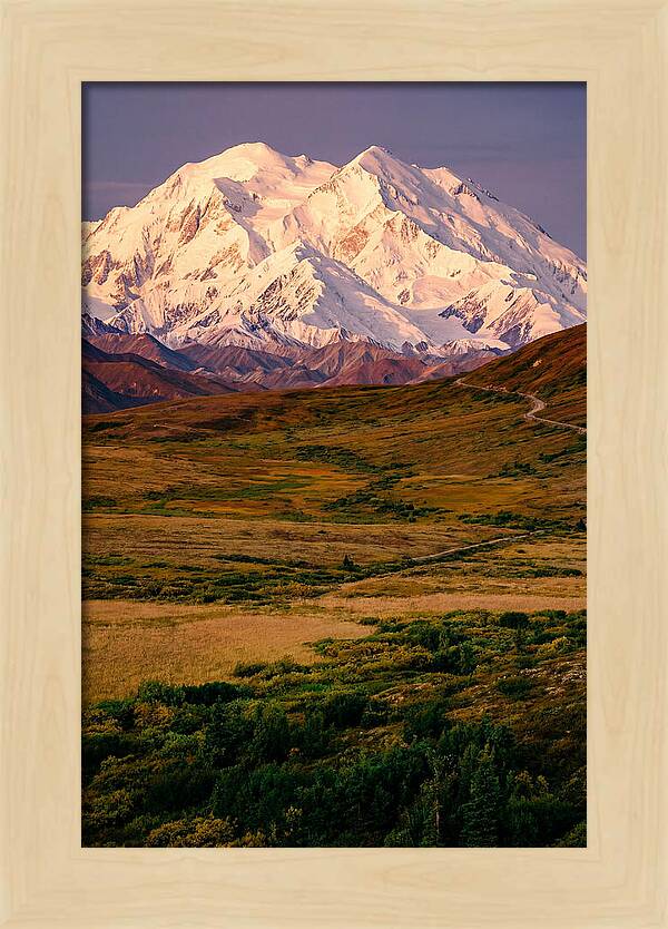 Denali At Golden Hour