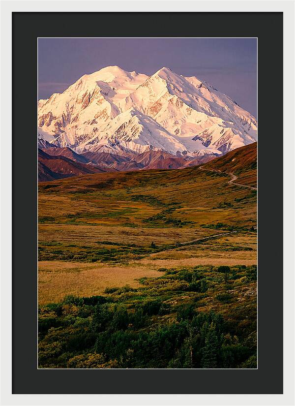 Denali At Golden Hour