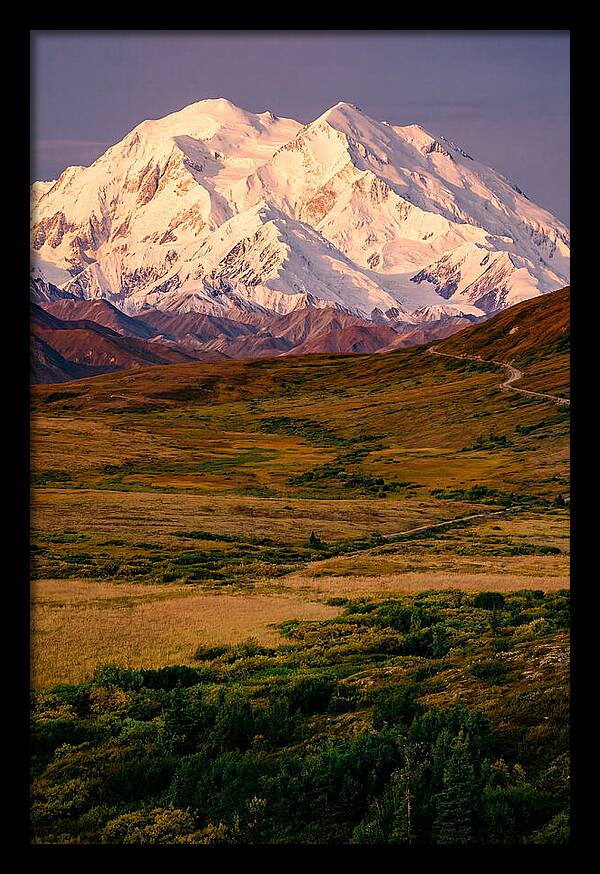Denali At Golden Hour