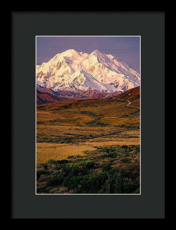 Denali At Golden Hour