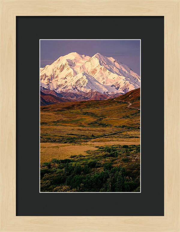 Denali At Golden Hour