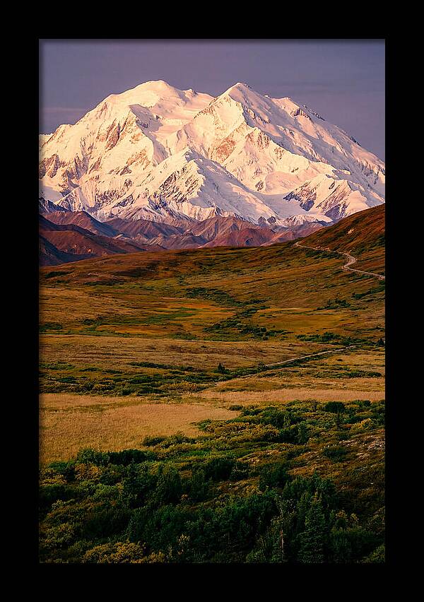 Denali At Golden Hour