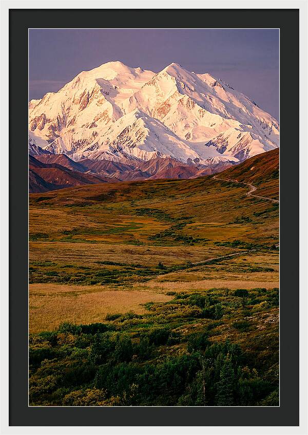 Denali At Golden Hour