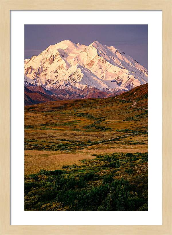 Denali At Golden Hour