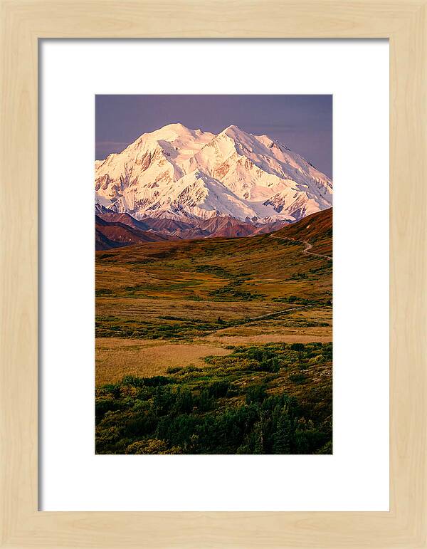 Denali At Golden Hour