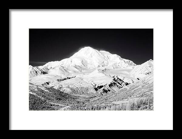 Denali Majestic Above Tundra
