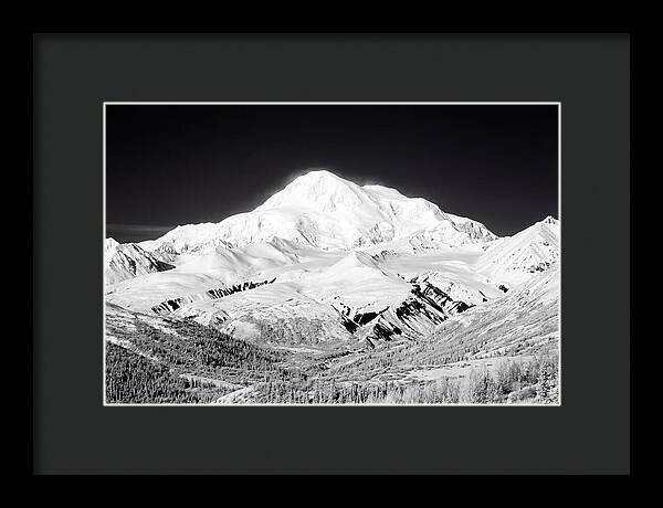 Denali Majestic Above Tundra