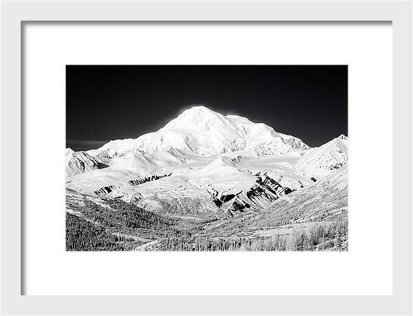 Denali Majestic Above Tundra