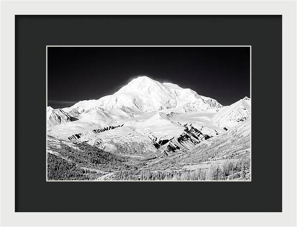 Denali Majestic Above Tundra