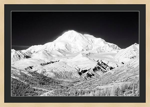 Denali Majestic Above Tundra