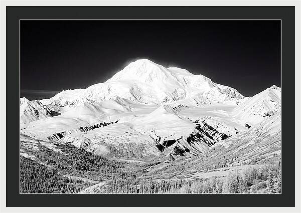 Denali Majestic Above Tundra