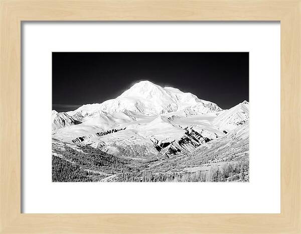 Denali Majestic Above Tundra