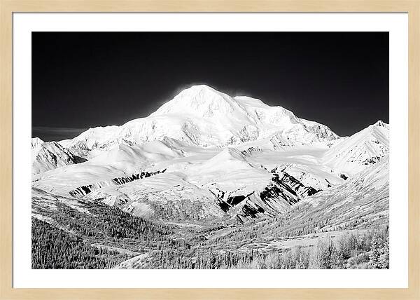 Denali Majestic Above Tundra
