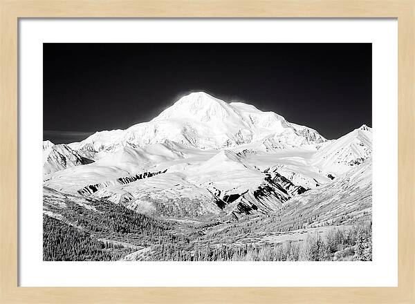 Denali Majestic Above Tundra