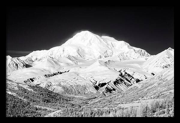 Denali Majestic Above Tundra