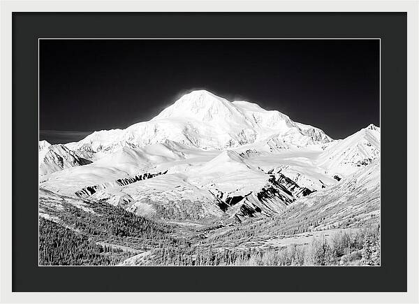 Denali Majestic Above Tundra