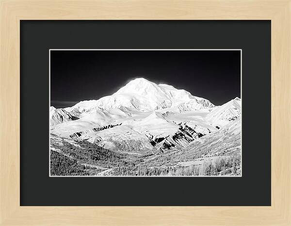 Denali Majestic Above Tundra