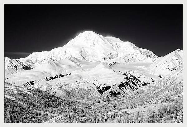 Denali Majestic Above Tundra