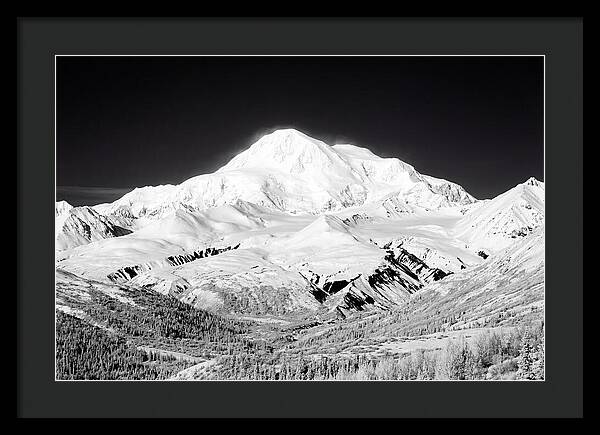 Denali Majestic Above Tundra