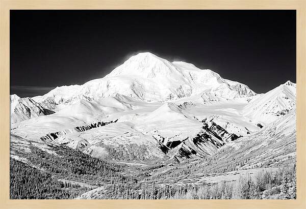 Denali Majestic Above Tundra