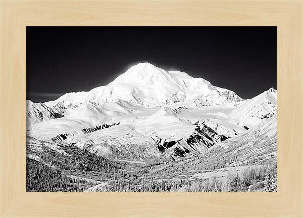 Denali Majestic Above Tundra