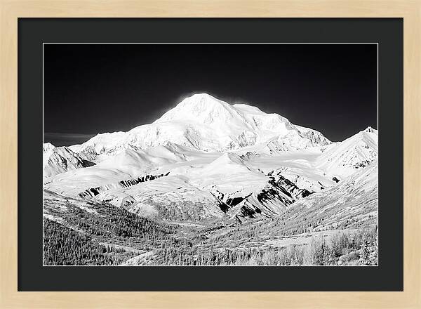 Denali Majestic Above Tundra