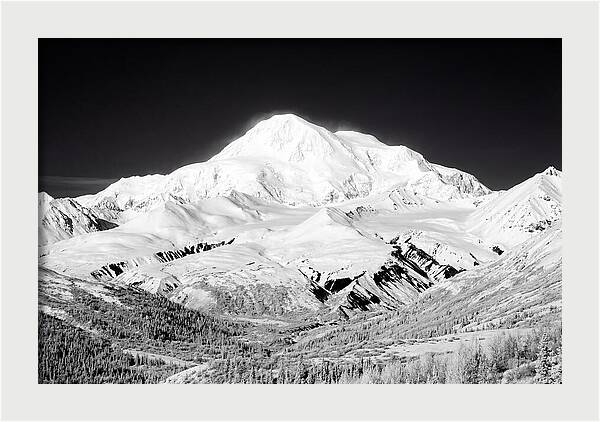 Denali Majestic Above Tundra