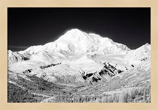 Denali Majestic Above Tundra