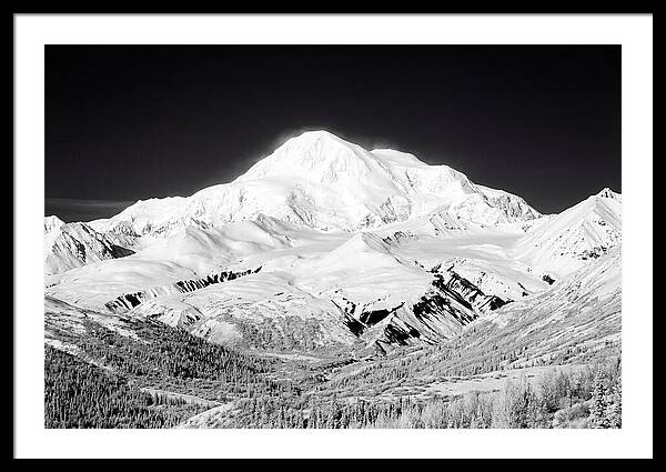 Denali Majestic Above Tundra