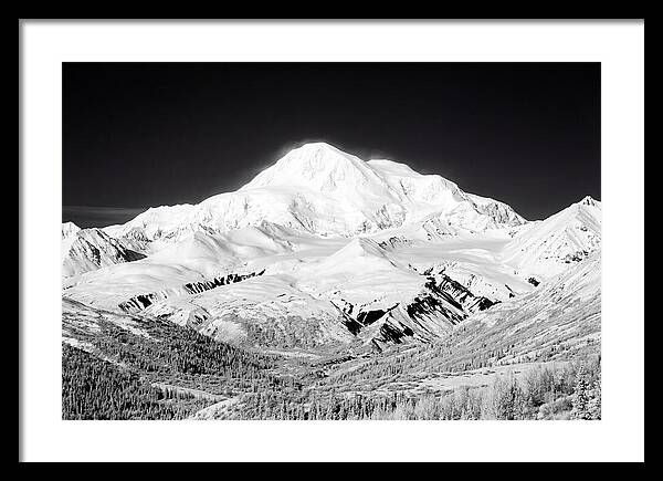 Denali Majestic Above Tundra