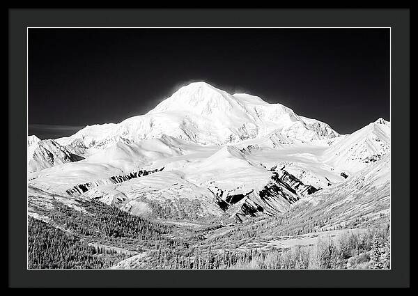 Denali Majestic Above Tundra