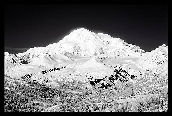 Denali Majestic Above Tundra