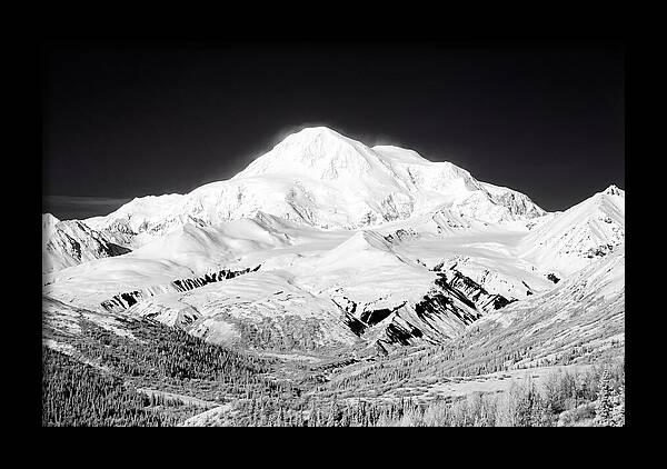 Denali Majestic Above Tundra