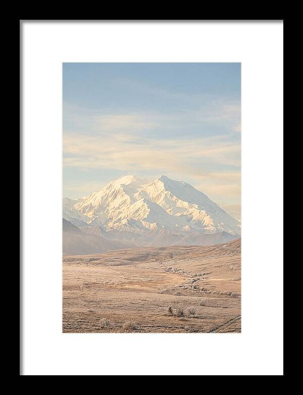 Denali Majestic Over Tundra