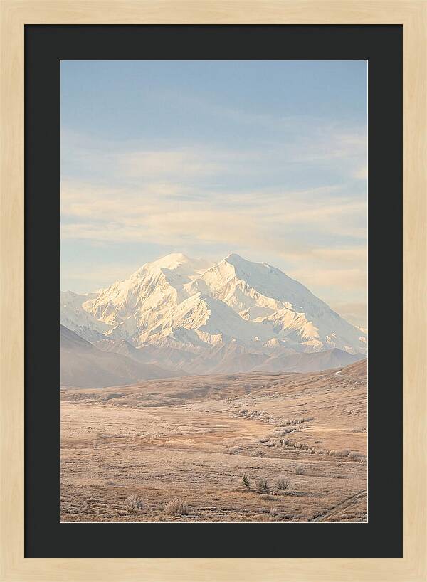 Denali Majestic Over Tundra