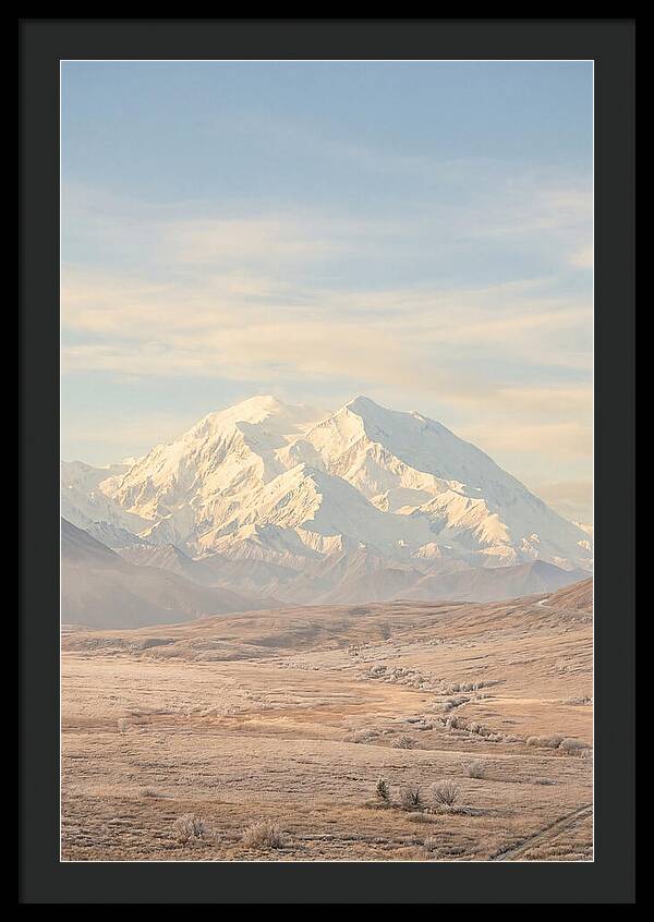 Denali Majestic Over Tundra