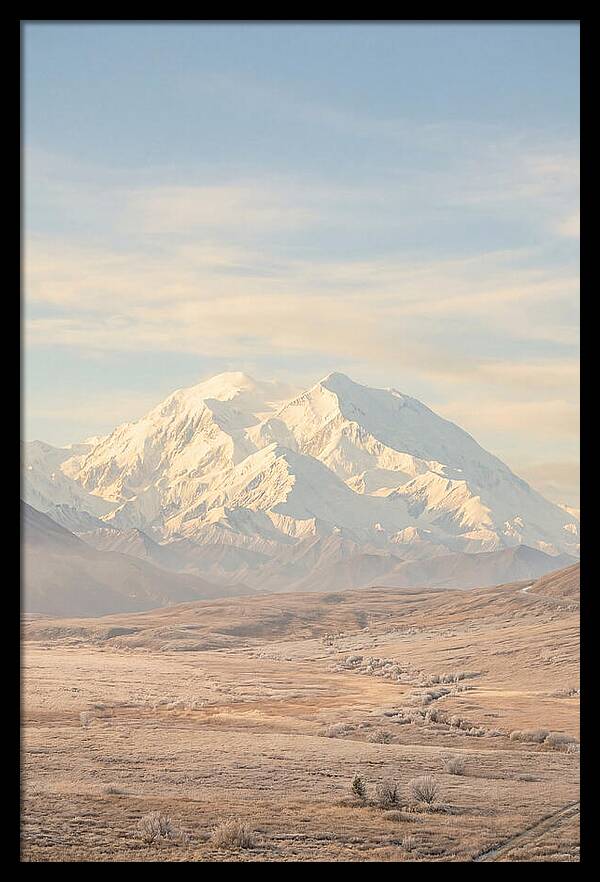 Denali Majestic Over Tundra