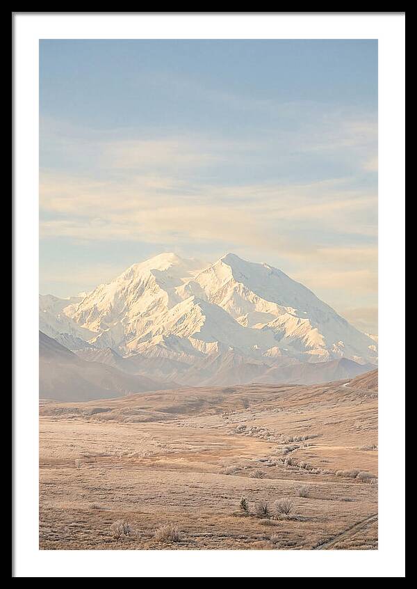 Denali Majestic Over Tundra