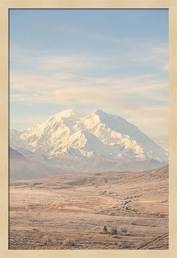 Denali Majestic Over Tundra
