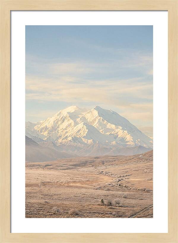 Denali Majestic Over Tundra