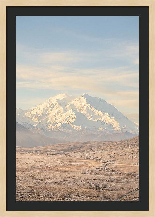 Denali Majestic Over Tundra
