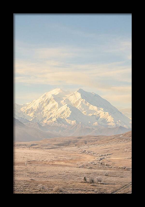 Denali Majestic Over Tundra